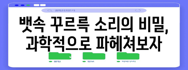 배에서 꾸르륵 소리의 진짜 이유 5가지