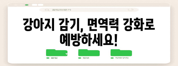 강아지 감기와 기침 예방 가이드 | 영양제로 면역력 강화