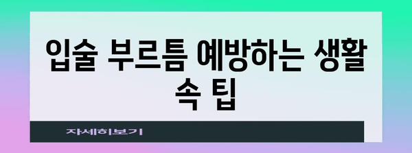 입술 부르틈 원인과 해결법 | 치유부터 예방까지의 완벽 가이드