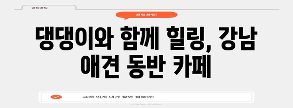 애견과 함께하는 서울 호캉스 | 강남 애견 동반 카페 5선