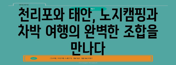 노지캠핑 및 차박 여행 가이드 | 천리포와 태안의 이색적인 즐거움