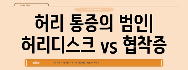 허리 통증의 범인 | 허리디스크 vs 협착증, 완벽 진단법