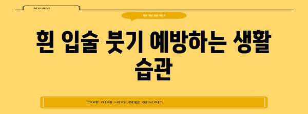 흰 입술 붓기 | 주요 원인과 효과적 대처법